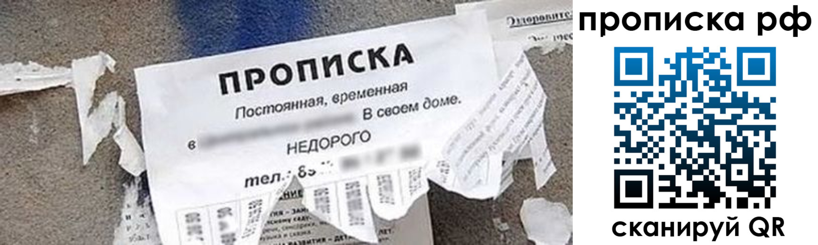 где прописаться в Каменск-Шахтинском